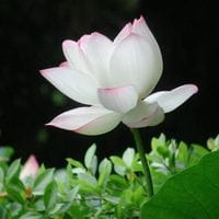 小学生头像，初中生头像，高中生头像，大学生头像，老年头像