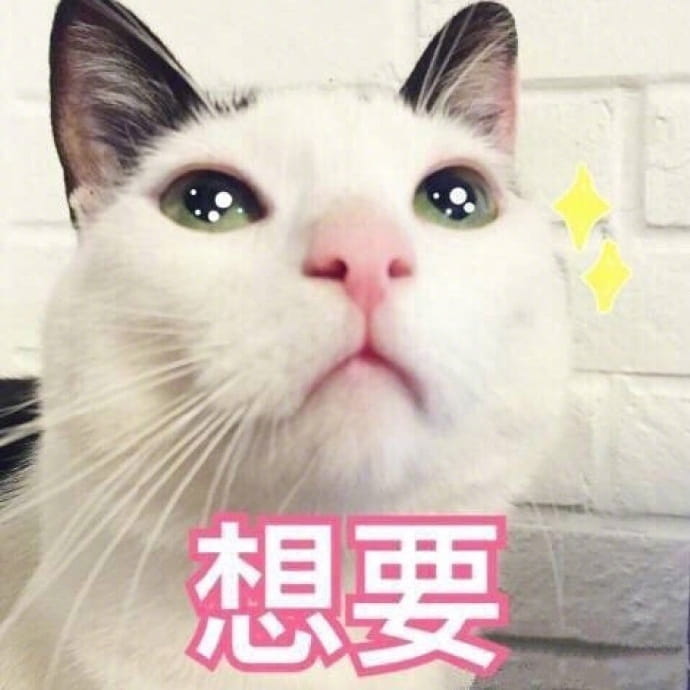 老公给我买这个 超可爱猫咪表情包