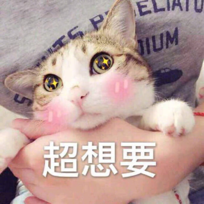 老公给我买这个 超可爱猫咪表情包