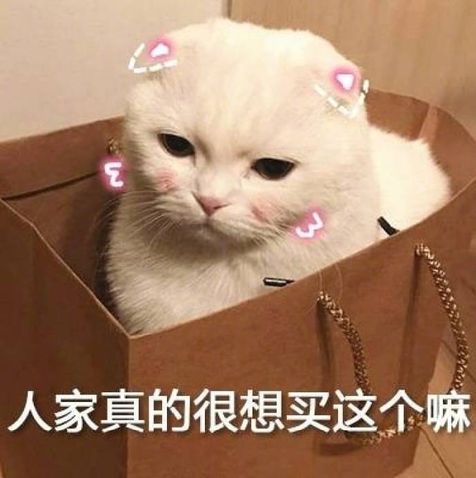 老公给我买这个 超可爱猫咪表情包