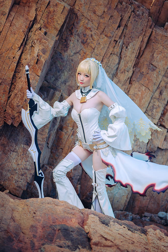 星辰驰骋的终幕蔷薇