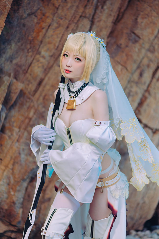 星辰驰骋的终幕蔷薇