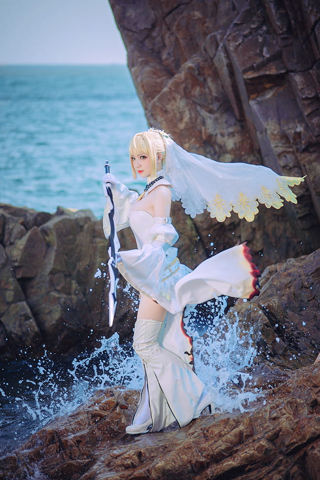 星辰驰骋的终幕蔷薇