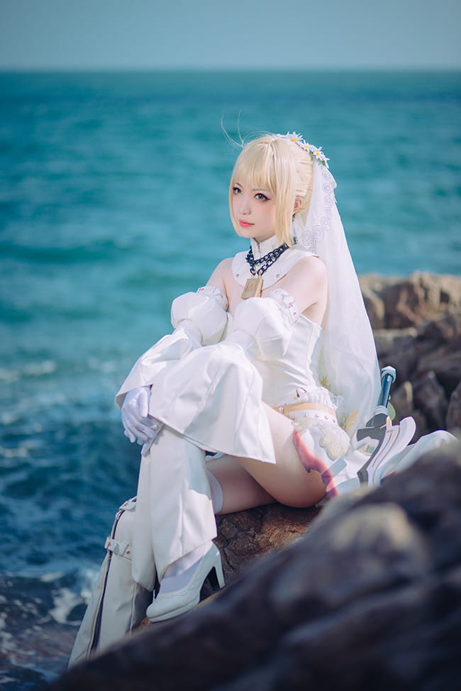 星辰驰骋的终幕蔷薇