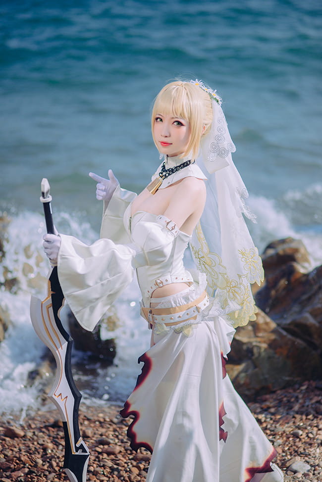 星辰驰骋的终幕蔷薇