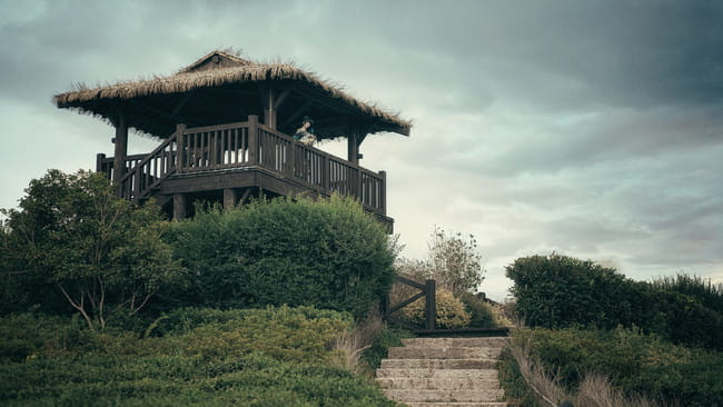 一只小丐妹的明月天涯