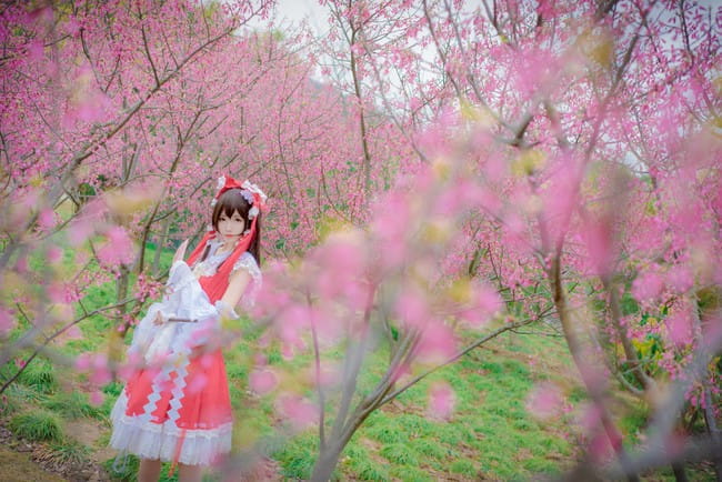 东方Project 博丽灵梦 cosplay(1)