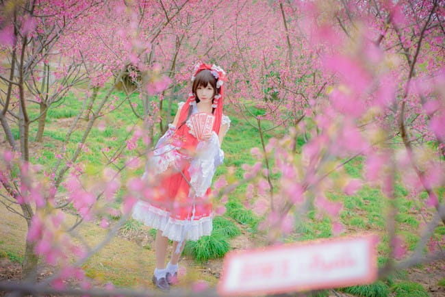 东方Project 博丽灵梦 cosplay(1)