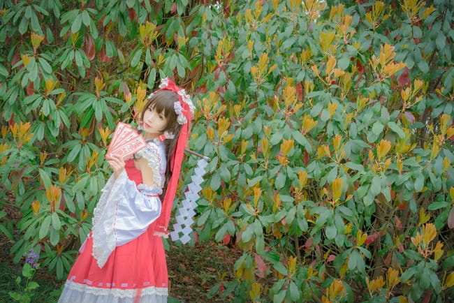 东方Project 博丽灵梦 cosplay(1)