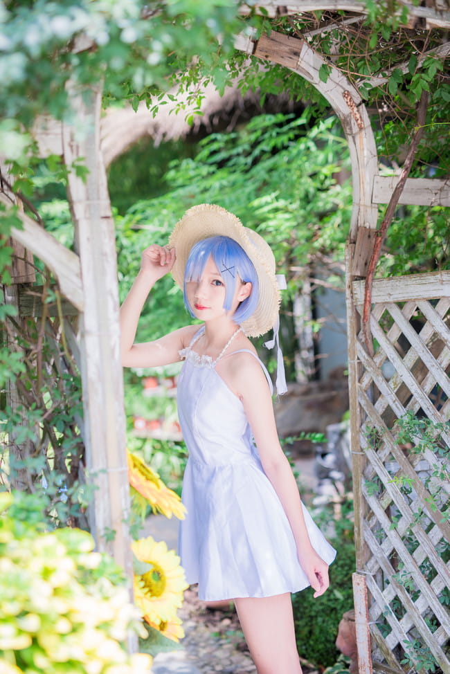 Re 从零开始的异界生活蕾姆白裙ver(1)