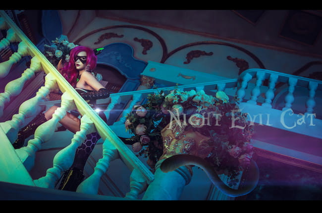 王者荣耀 暗夜猫娘 阿珂 cosplay图片