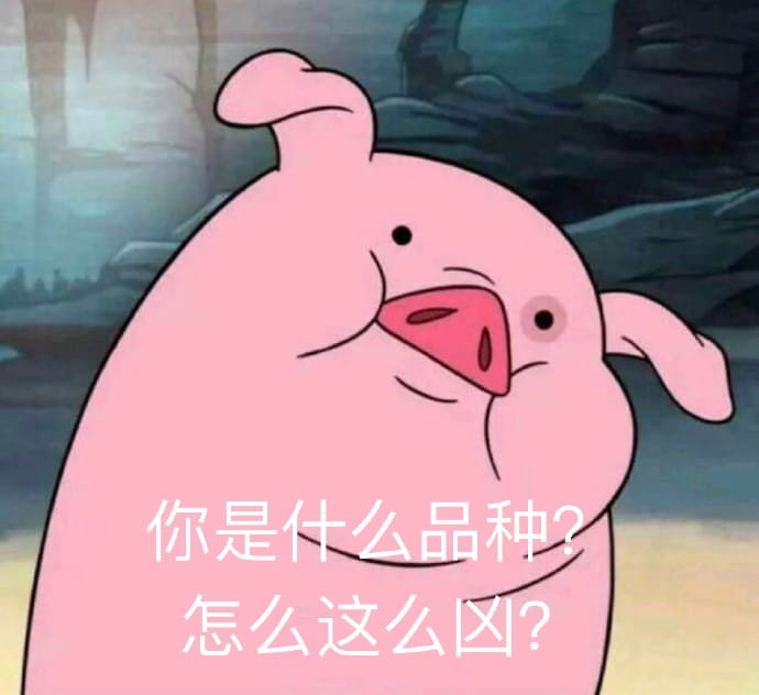 心肥意冷 可爱小猪猪表情包