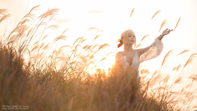 fgo 尼禄本里最后一套 cosplay图片