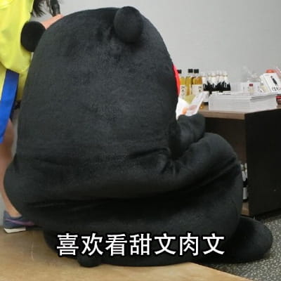 熊本熊之中年少女表情包