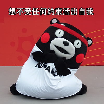 猪猪女孩的精致生活 熊本熊表情包