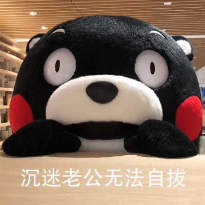 熊本熊之你是不是背着我在外面有熊了 可爱表情包