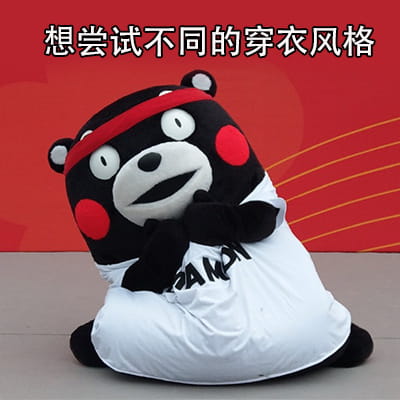 猪猪女孩的精致生活 熊本熊表情包