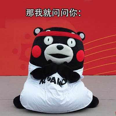 猪猪女孩的精致生活 熊本熊表情包