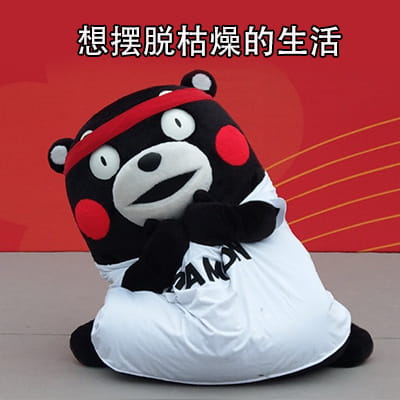 猪猪女孩的精致生活 熊本熊表情包