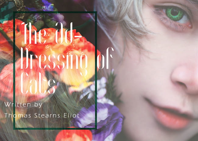 猫娘Lolita 圣诞主题写真图片(1)