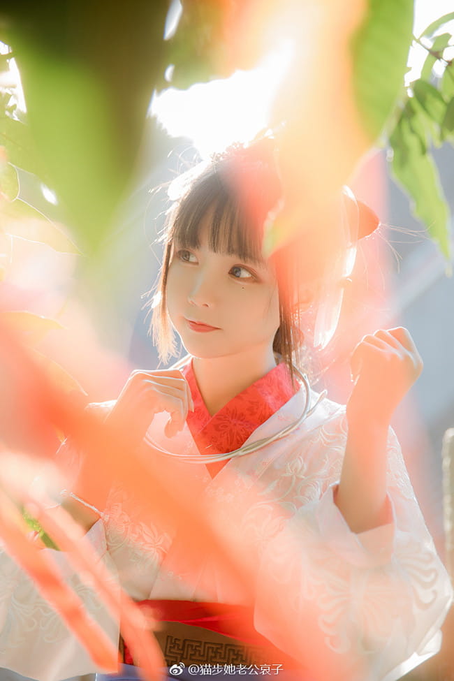 少年锦衣卫 九公主