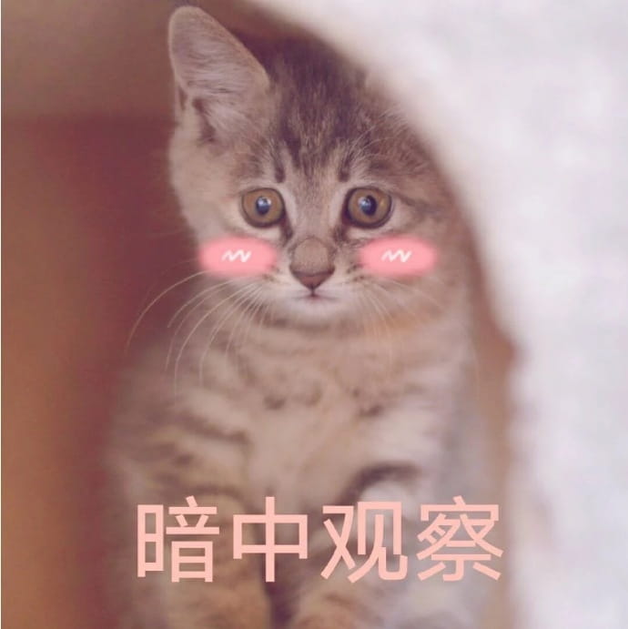 快哄我 超可爱猫咪表情包