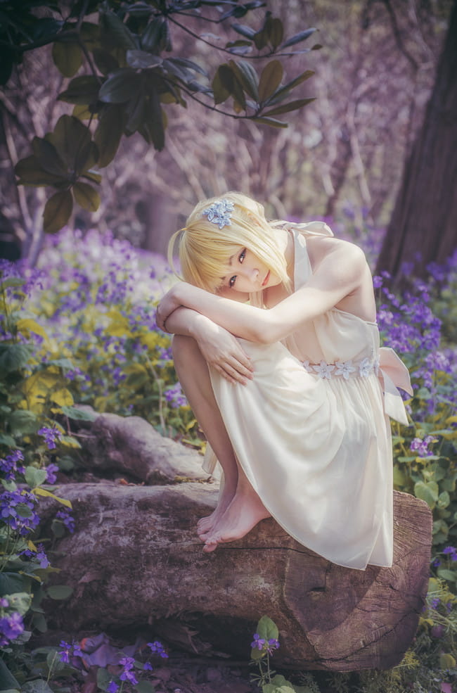 Fate/stay.night saber