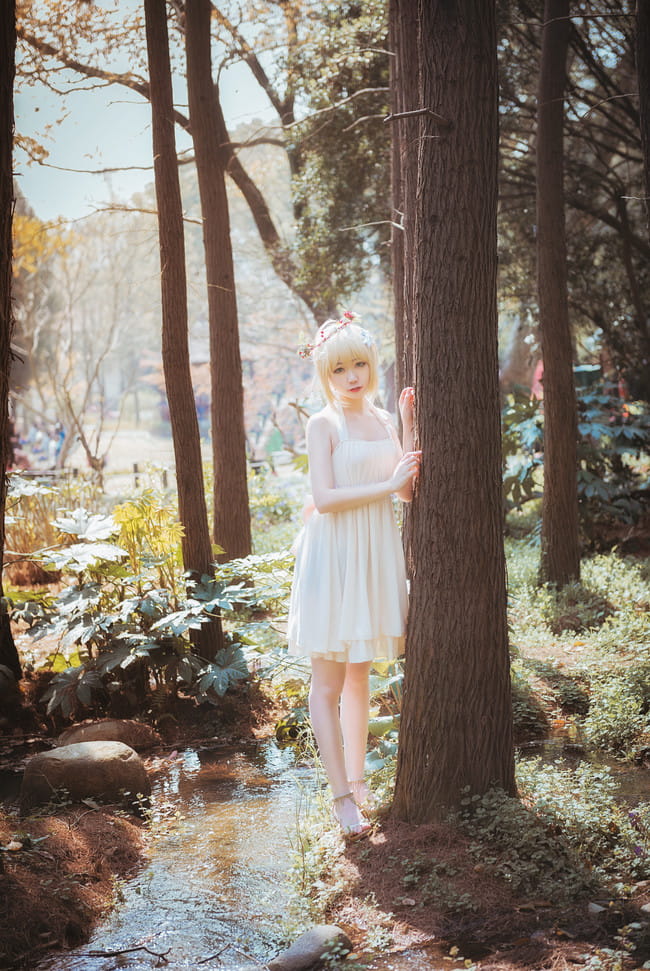 Fate/stay.night saber