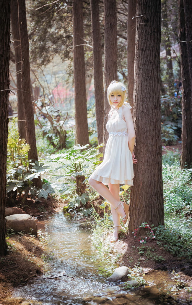 Fate/stay.night saber