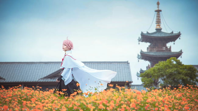 活击/刀剑乱舞 | 审神者