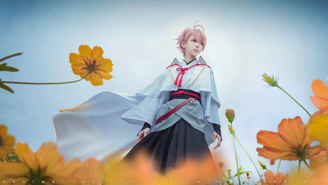 活击/刀剑乱舞 | 审神者