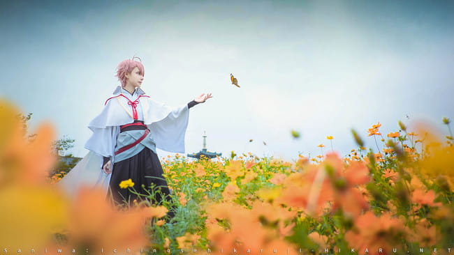 活击/刀剑乱舞 | 审神者