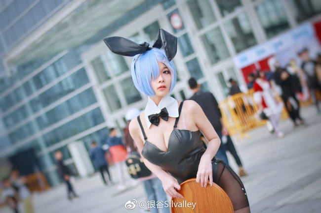 雷姆兔女郎 · 场照