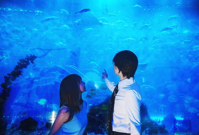 恋与制作人 许墨x女主！ cosplay