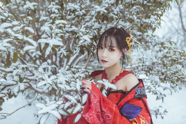 梅须逊雪三分白