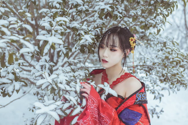 梅须逊雪三分白