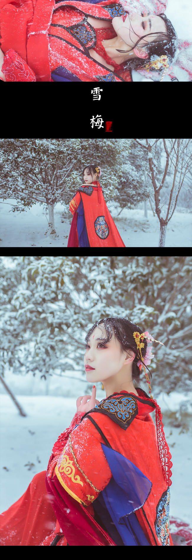 梅须逊雪三分白