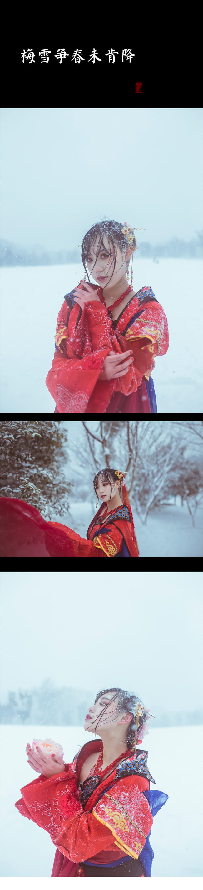 梅须逊雪三分白