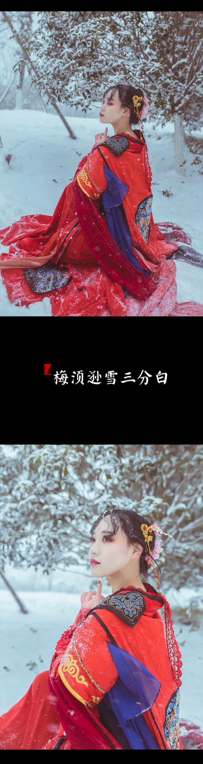 梅须逊雪三分白