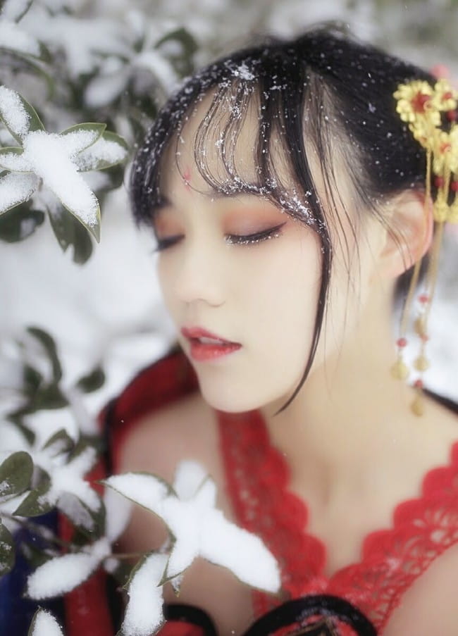 梅须逊雪三分白