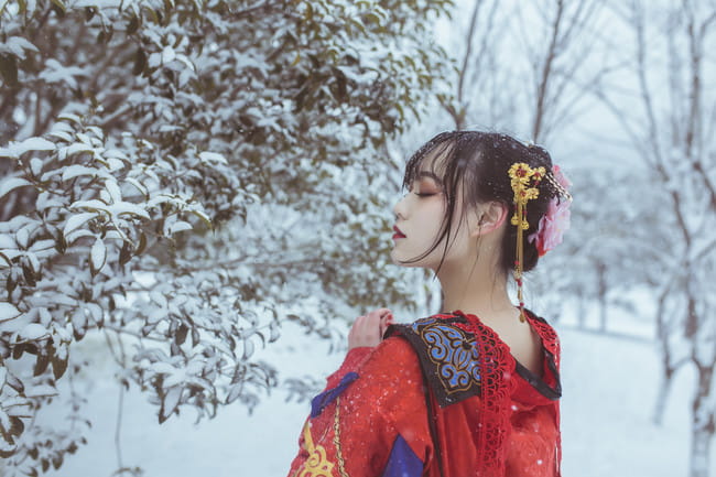 梅须逊雪三分白