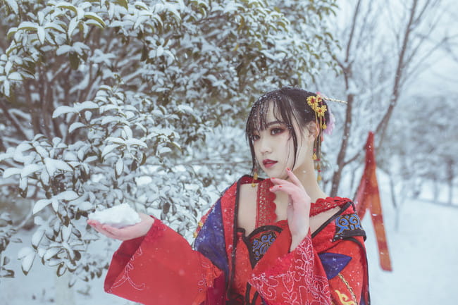 梅须逊雪三分白