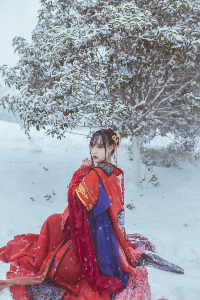 梅须逊雪三分白