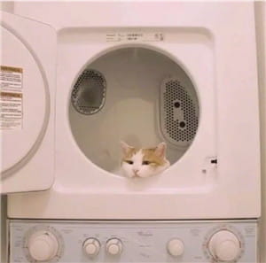 天干物燥 小心她闹 动漫qq情侣头像