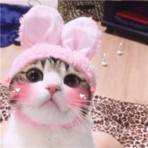 天干物燥 小心她闹 动漫qq情侣头像