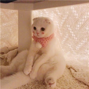 天干物燥 小心她闹 动漫qq情侣头像