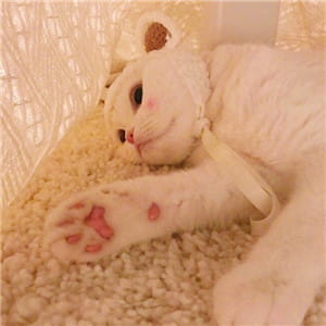 天干物燥 小心她闹 动漫qq情侣头像