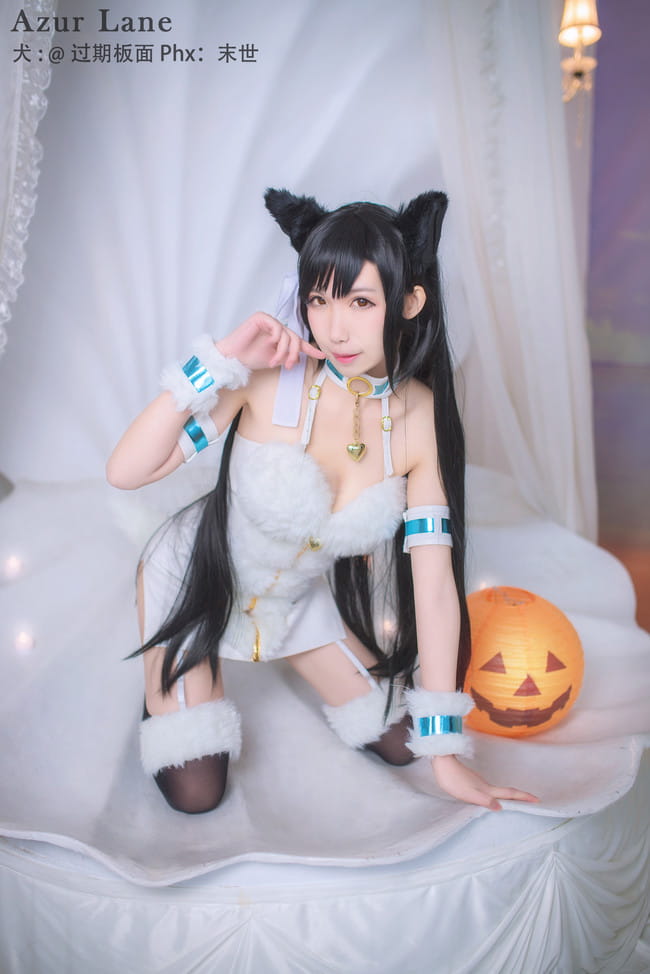 碧蓝航线 犬 万圣节 cosplay
