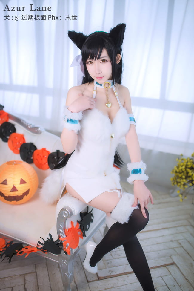 碧蓝航线 犬 万圣节 cosplay
