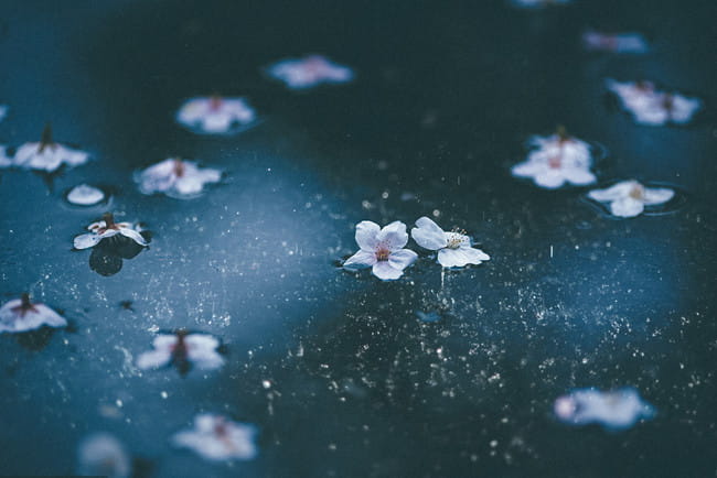 古风 遥远时空中 舞一夜 cosplay